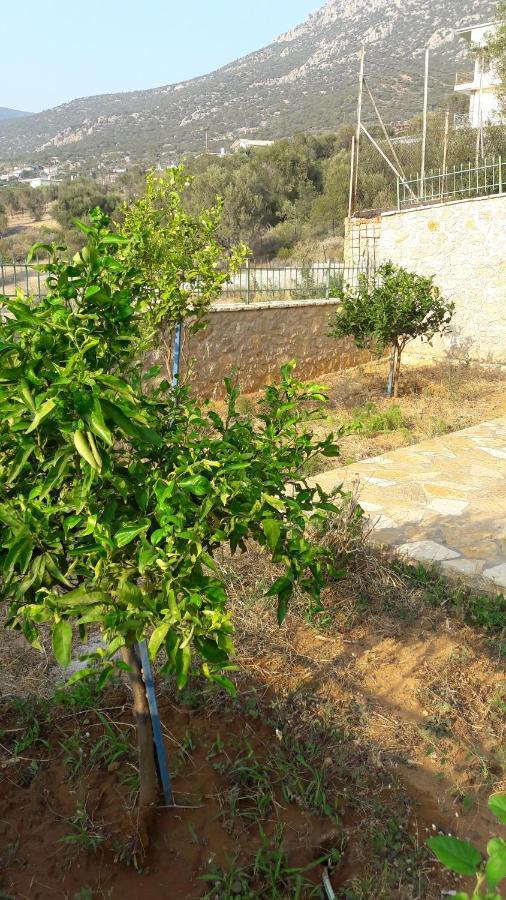 Εξωτικο Διαμερισμα Με Θεα Την Παραλια Αλυκης Villa Alikí Buitenkant foto